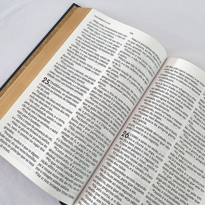 Bíblia Tesouro Sagrado | Leitura Perfeita | ACF | Letra Grande | Capa Dura