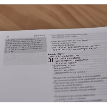 Bíblia Jornada Amor | Espiral | NAA | Letra Grande | Capa Dura