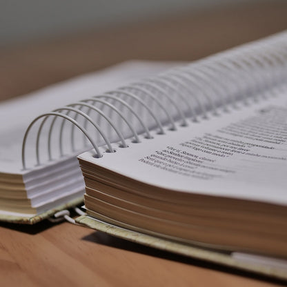 Bíblia Jornada Louve | Espiral | NAA | Letra Grande | Capa Dura