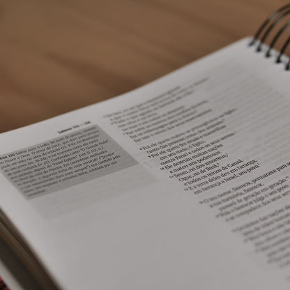 Bíblia Jornada Louve | Espiral | NAA | Letra Grande | Capa Dura