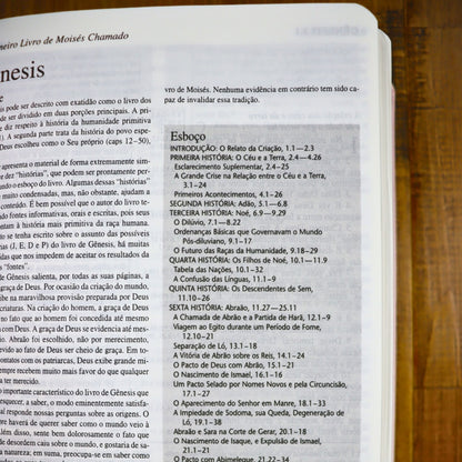 Bíblia Shedd | ARA | Letra Normal | Capa Feminina