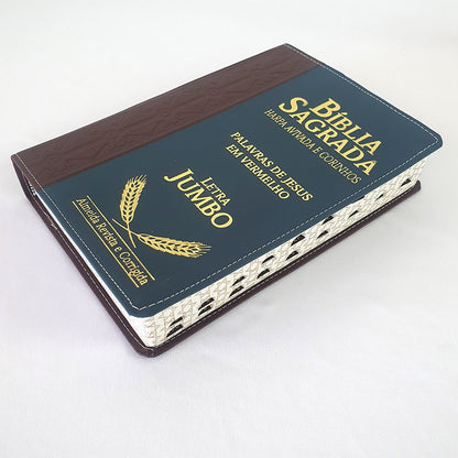 Bíblia Sagrada Harpa Avivada e Corinhos | ARC | Letra Jumbo | Índice | Bicolor Vinho e Azul