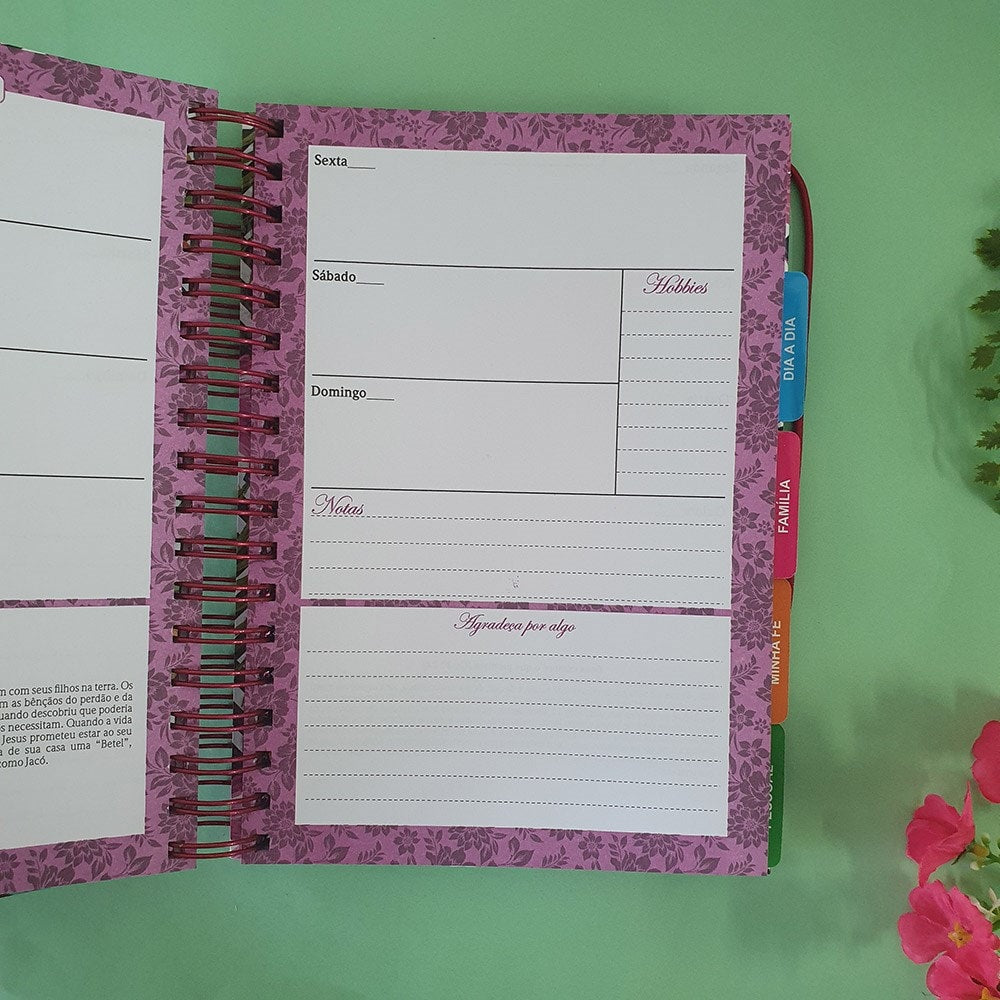 O Plano Perfeito da Mulher Sábia | Capa Hibisco | MOD 9