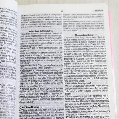 Bíblia Asas do Pensamento | NVI | Letra Normal | Capa Dura