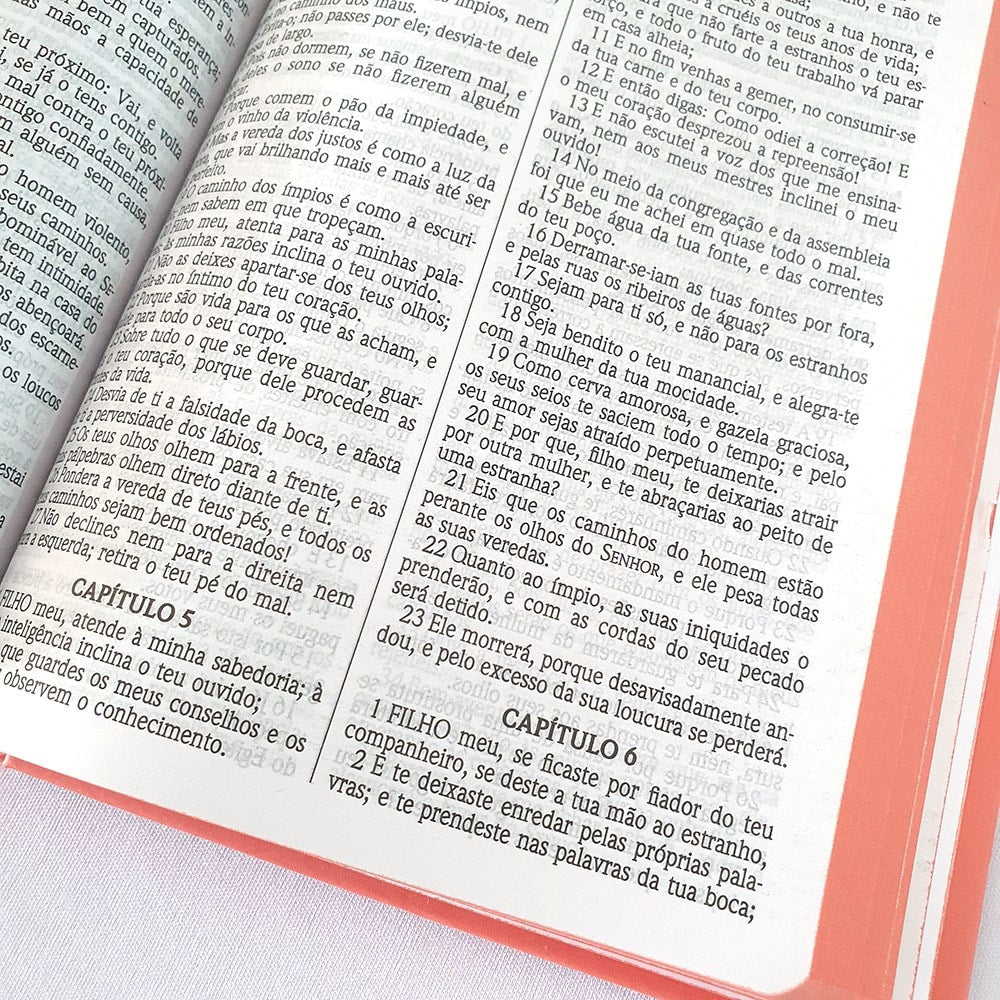 Bíblia Flor de Pote | ACF | Letra Normal | Capa Dura