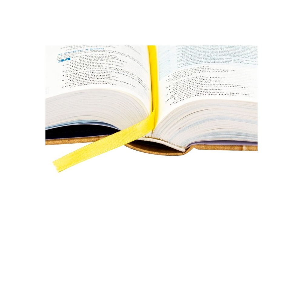 Bíblia O Livro da Esperança Lembre-se | NAA | Letra Normal | Capa Dura