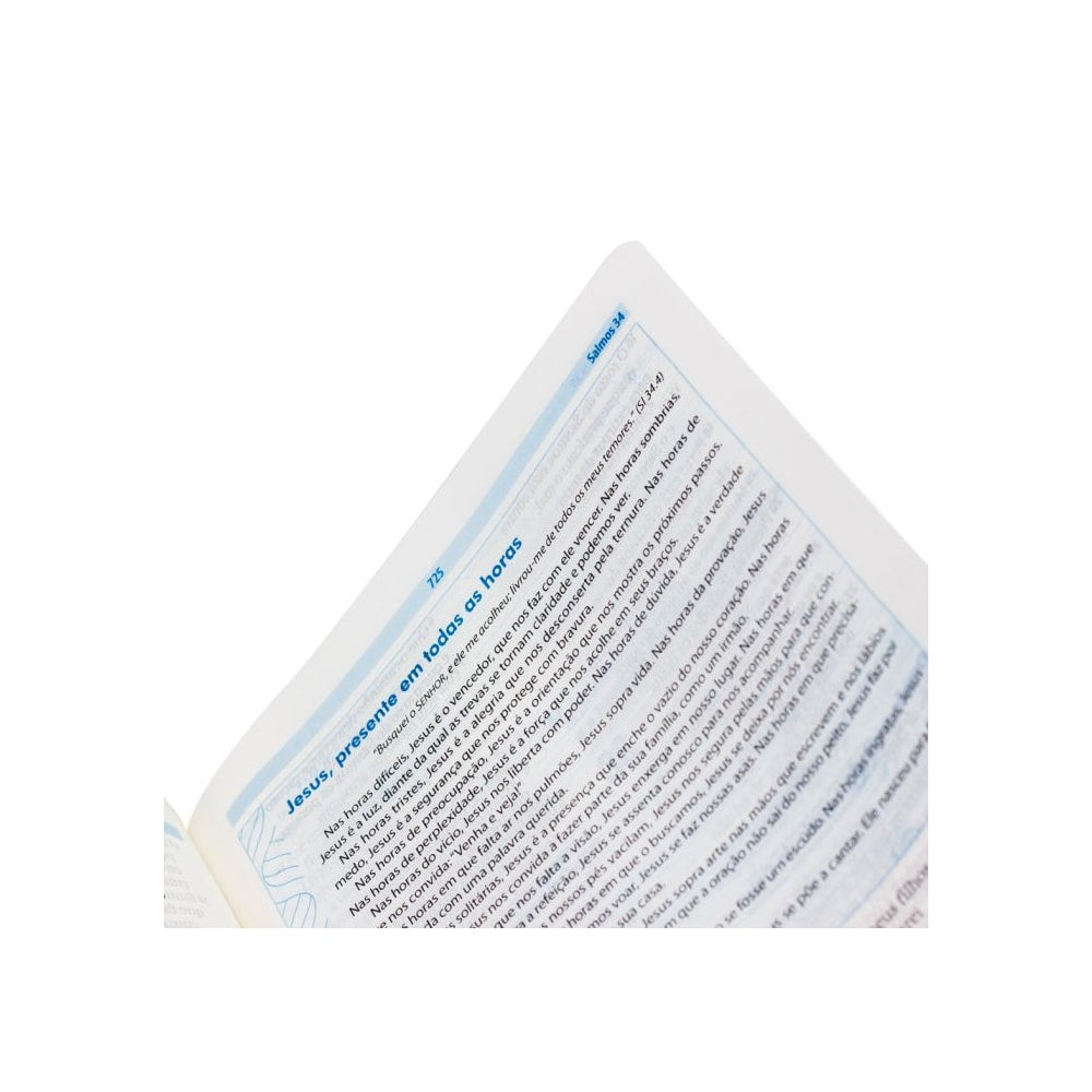 Bíblia O Livro da Esperança Lembre-se | NAA | Letra Normal | Capa Dura