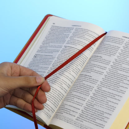 Bíblia Almeida Século 21 | A21 | Letra Média | Capa Dura | Cruz de Cristo