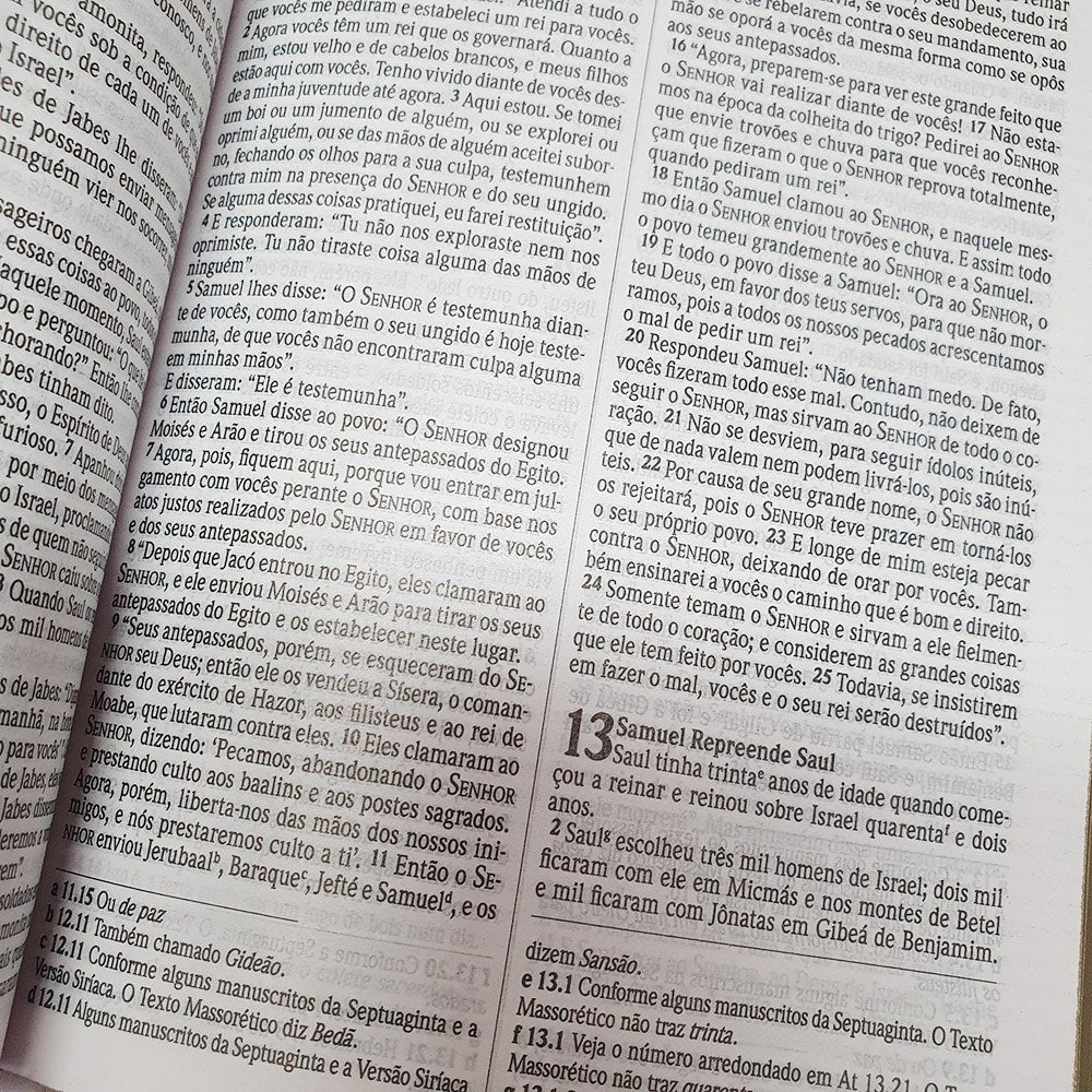 Bíblia Sagrada Feminina Colorida | NVI | Letra Normal | Capa Dura
