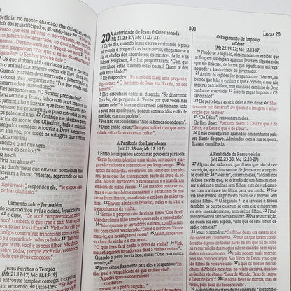 Bíblia Sagrada Eu Sou a Ressurreição | NVI | Letra Normal | Capa Dura