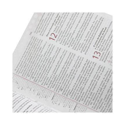 Bíblia de Estudo Plenitude | Letra Normal | ARC | Capa Preta e Vinho