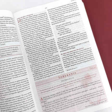 Bíblia da Mulher de Fé | NVI | Comentários Sheila Walsh | Capa Luxo Vinho
