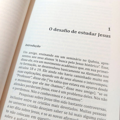 Os Desafios de Jesus | N T Wright