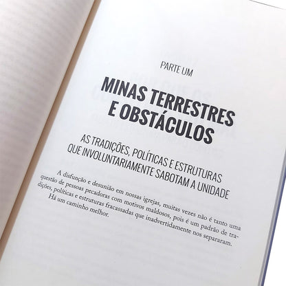 Equipes que Multiplicam | Larry Osborne