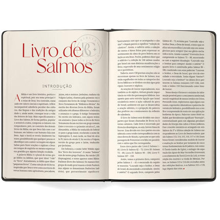 Bíblia Contexto | Salmos e Provérbios | NVT | Capa Dura | Vinho