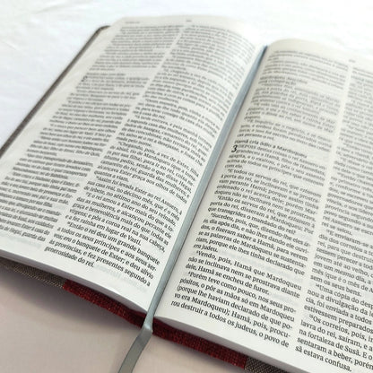 Bíblia Sagrada | ACF | Letra Normal | Leitura Perfeita | Capa Tecido