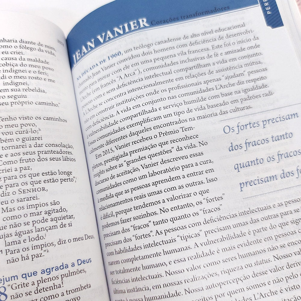 Bíblia Além do Sofrimento | NAA | Letra Normal | Azul
