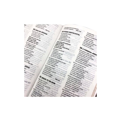 Bíblia de Estudo Pentecostal Média com Harpa Cristã | ARC | Vinho