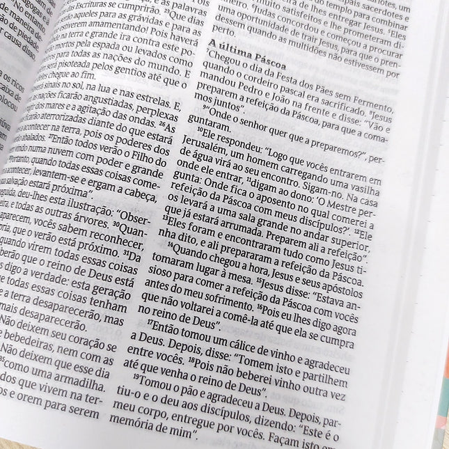 Bíblia Sagrada Rei das Nações | NVT | Letra Normal | Capa Dura