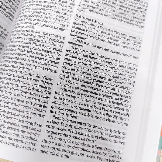 Bíblia Sagrada Rei das Nações | NVT | Letra Normal | Capa Dura
