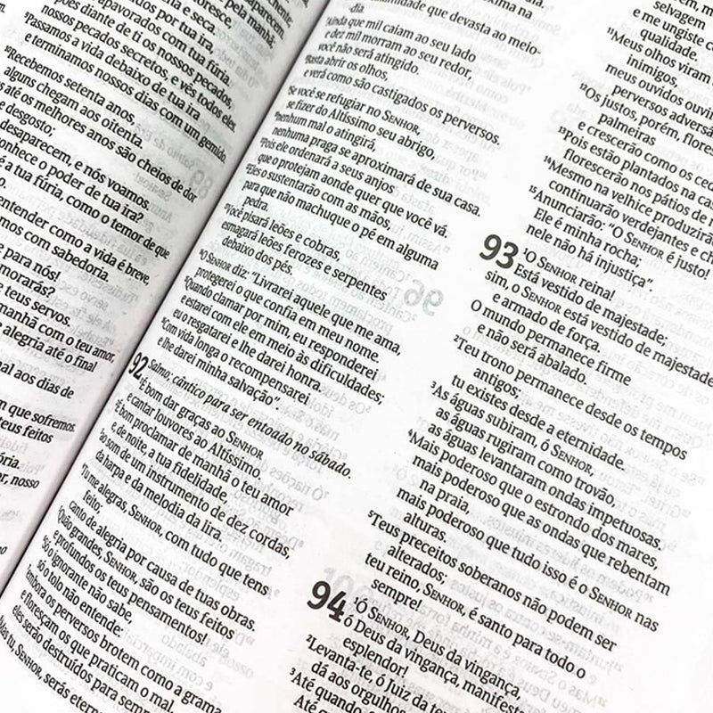 Bíblia Sagrada Bondade e Amor | NVT | Letra Normal | Capa Dura