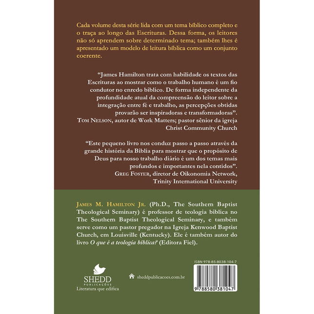 O Trabalho e o nosso Serviço no Senhor | Série Teologia Bíblica