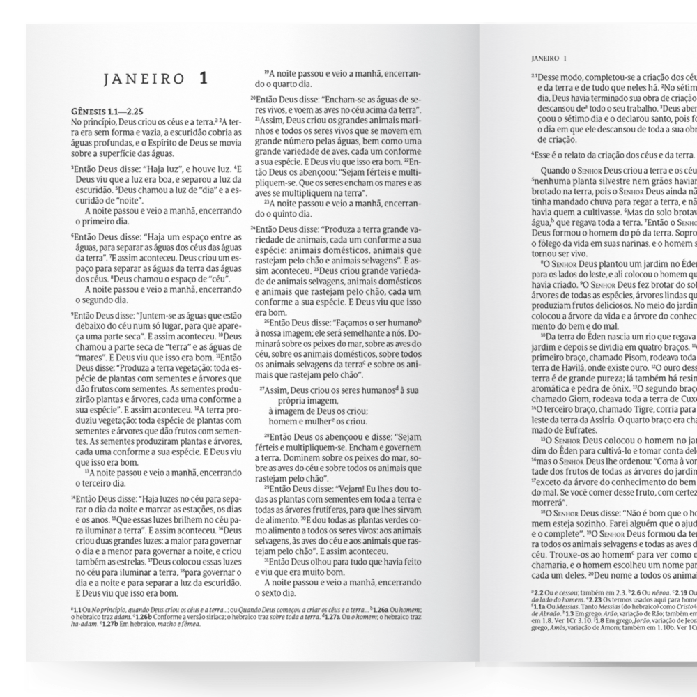 Bíblia 365 Vermelha | NVT | Letra Grande | Capa Dura