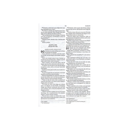 Bíblia De Estudo Nova Bíblia Viva | NBV | Capa Moderna