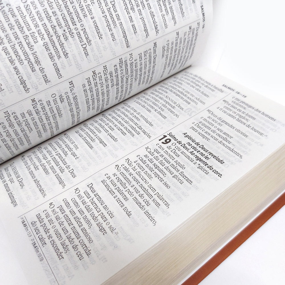 Bíblia Sagrada | NTLH | Letra Gigante | Capa Luxo Marrom Claro