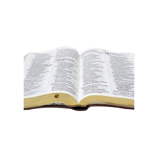 Bíblia Sagrada Grande | NAA | Letra Supergigante | Capa Luxo Marrom Nobre