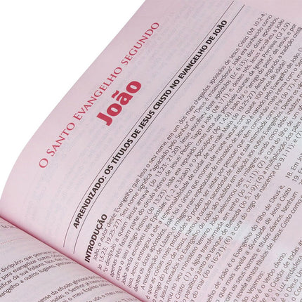 Bíblia do Pregador Pentecostal | ARC | Vinho Nobre