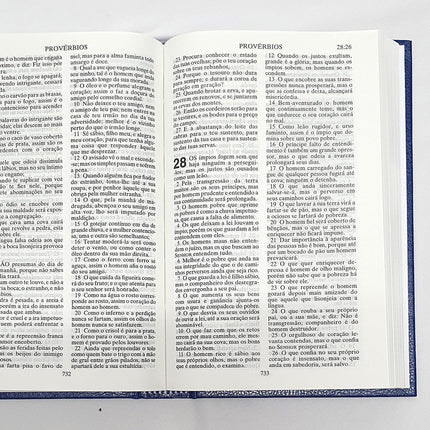 Bíblia Sagrada | ACF | Letra Grande | Capa Dura Azul
