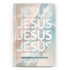 Bíblia Sagrada Jesus | NVT | letra Normal | Capa Dura