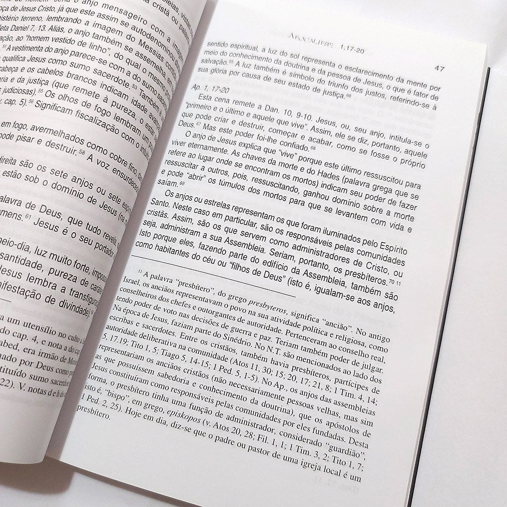 O Livro do Apocalipse | Adylson Valdez