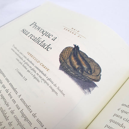 Devocional Jornada Profética | Dirce Carvalho