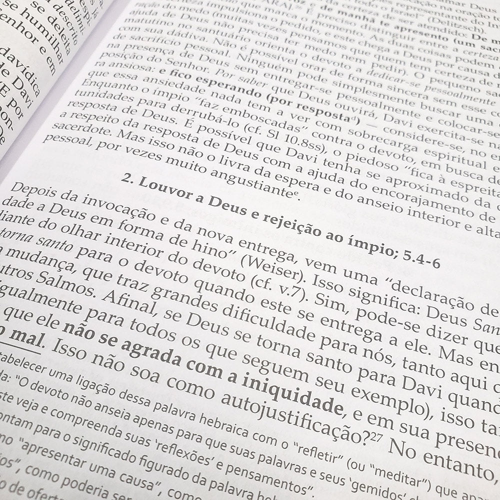 Salmos Vol 1 | Comentário Esperança | Dieter Schneider