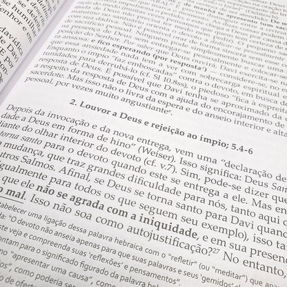Salmos Vol 1 | Comentário Esperança | Dieter Schneider