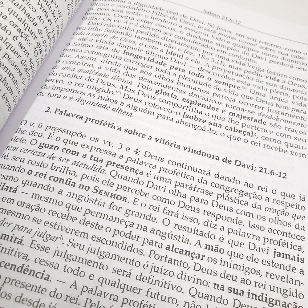 Salmos Vol 1 | Comentário Esperança | Dieter Schneider