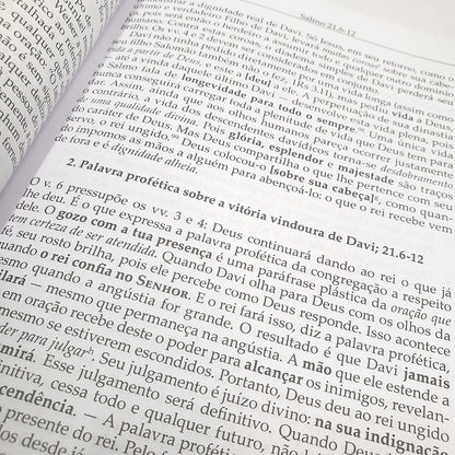 Salmos Vol 1 | Comentário Esperança | Dieter Schneider
