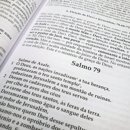 Salmos Vol 2 | Comentário Esperança | Dieter Schneider