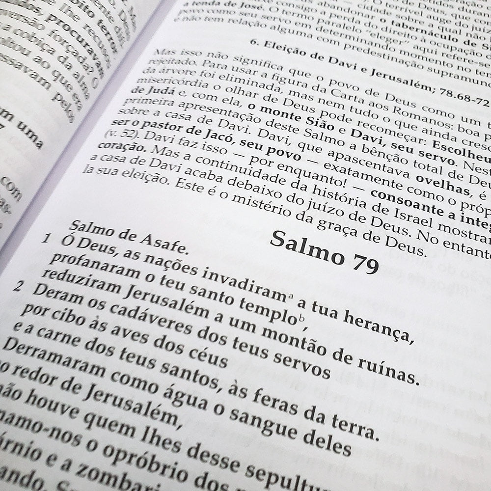 Salmos Vol 2 | Comentário Esperança | Dieter Schneider