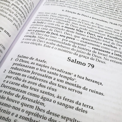 Salmos Vol 2 | Comentário Esperança | Dieter Schneider