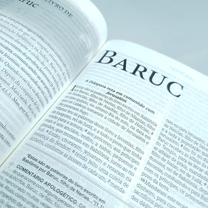 Bíblia de Estudo| Apologética com Apócrifos | Capa Luxo Azul Floral