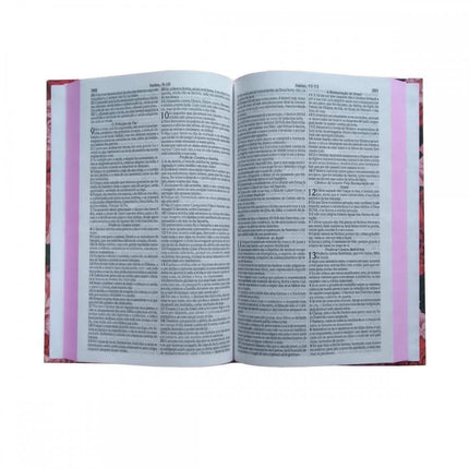Bíblia Sagrada Letra Jumbo | ARC | Capa Dura Retro Vermelha