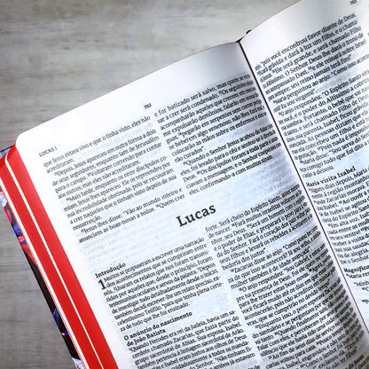 Bíblia Sagrada | NVT | Letra Normal | Capa Dura Aroma Azul e Pink