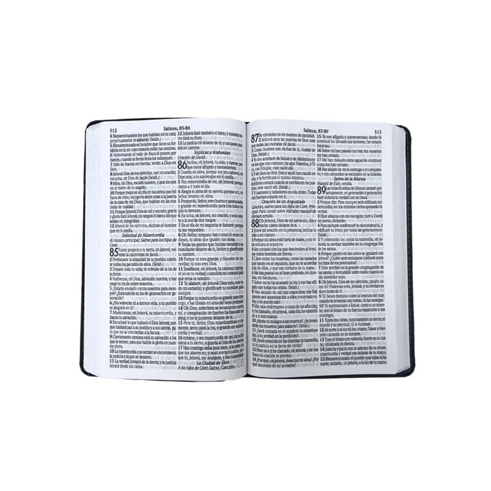 Bíblia Sagrada em Espanhol | RVT | Letra Super Gigante | Luxo Marrom