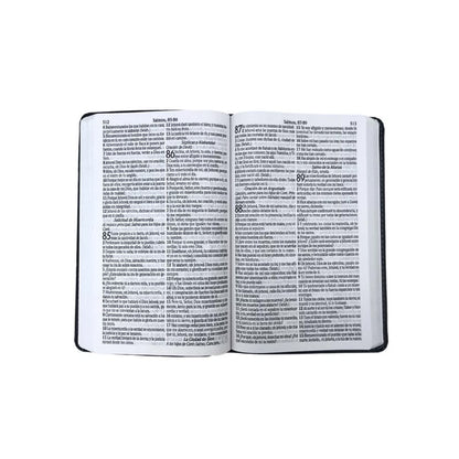 Bíblia Sagrada em Espanhol | RVT | Letra Super Gigante | Luxo Marrom
