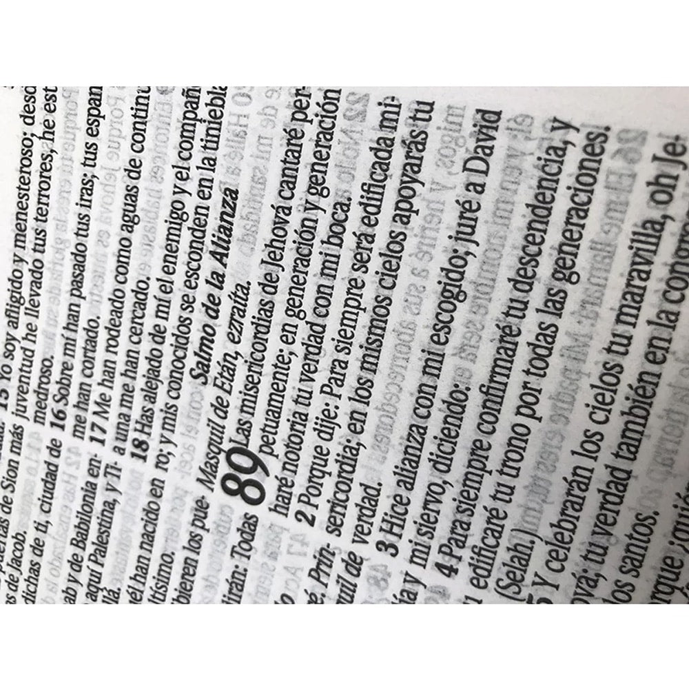 Bíblia Sagrada em Espanhol | RVT | Letra Super Gigante | Luxo Marrom