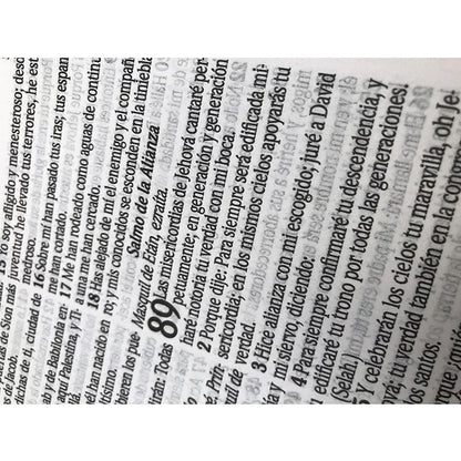 Bíblia Sagrada em Espanhol | RVT | Letra Super Gigante | Luxo Marrom