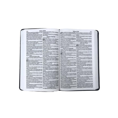 Bíblia Sagrada em Espanhol | RVT | Letra Super Gigante | Luxo Rosa